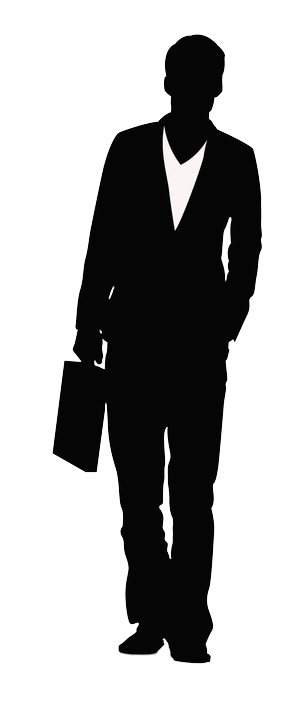 CV web Professionnel